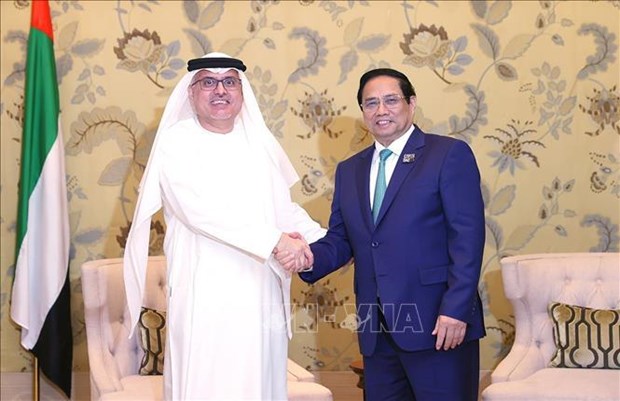 Labour cooperation important part of Vietnam-UAE ties: PM hinh anh 1