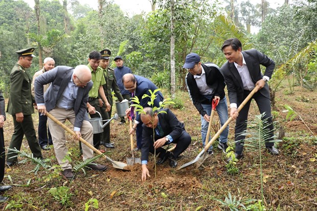 Tree planting marks 50th anniversary of Vietnam – Finland ties hinh anh 1