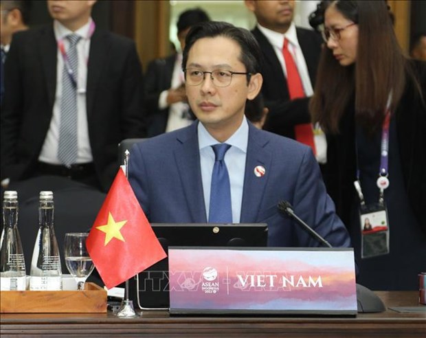 Vietnam – top partner of Turkiye, UAE in ASEAN: Deputy Foreign Minister hinh anh 2