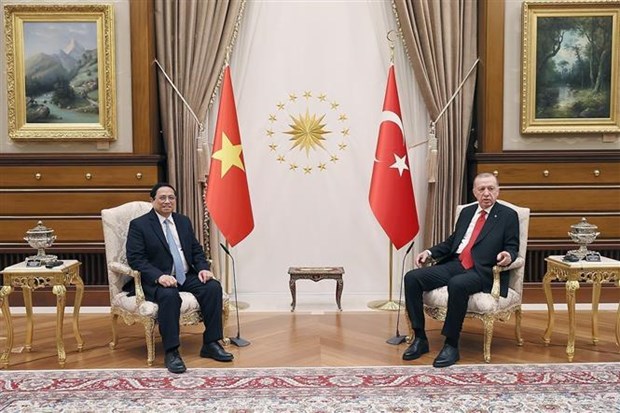 Vietnam, Turkiye issue joint statement on future cooperation hinh anh 1