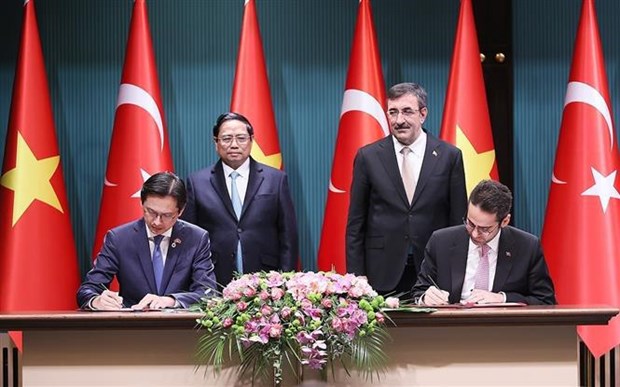 Vietnam, Turkiye issue joint statement on future cooperation hinh anh 2