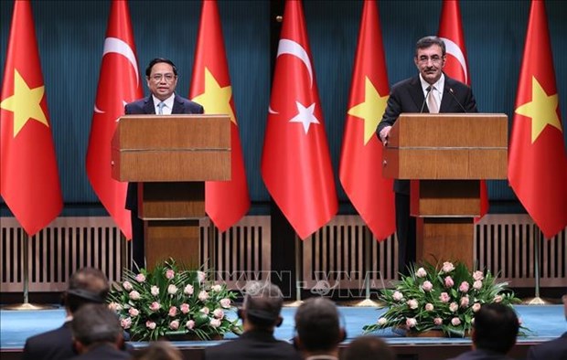 Vietnam – top partner of Turkiye, UAE in ASEAN: Deputy Foreign Minister hinh anh 1