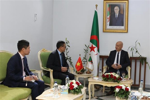 Vietnamese, Algerian parties bolster relationship hinh anh 1