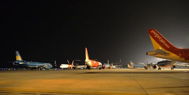Airlines asked to increase flights during New Year holidays hinh anh 1