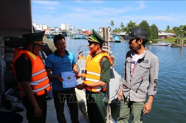 Southern localities work hard on fighting IUU fishing hinh anh 1