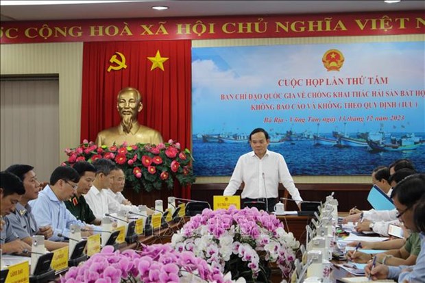Deputy PM asked for stronger efforts in combating illegal fishing hinh anh 1