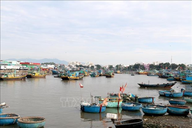 Binh Thuan intensifies measures against IUU fishing hinh anh 1