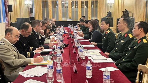 Vietnam, France hold defence strategy and cooperation dialogue hinh anh 1
