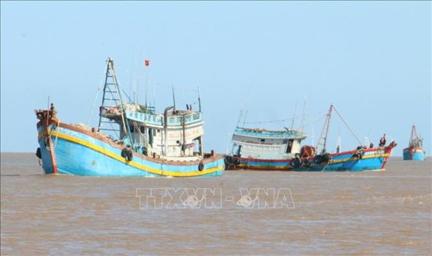Ben Tre local fishermen better aware of legal operating regulations hinh anh 1