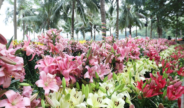 Hanoi Flower Land festival opens hinh anh 2