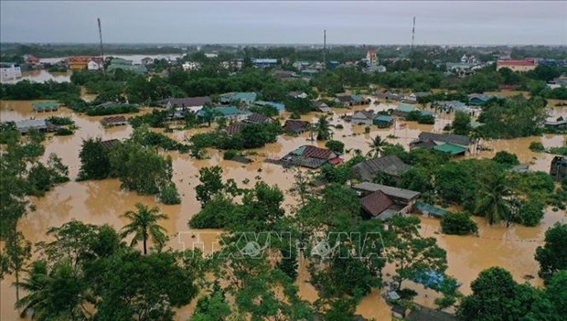Over 1,100 natural disasters hit Vietnam in 2023 hinh anh 1