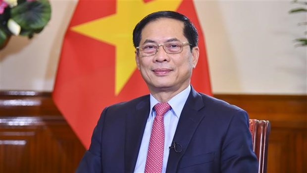 Further efforts planned to promote Vietnamese bamboo diplomacy: FM hinh anh 1