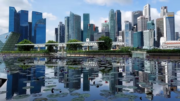 Singapore upbeat about economic growth in 2024 hinh anh 1