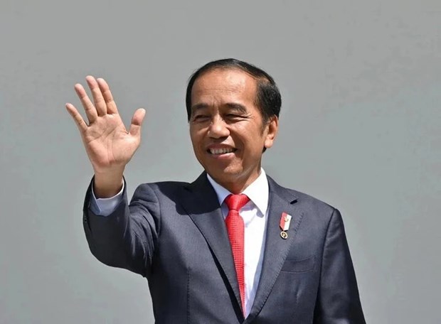 Indonesian President to pay State visit to Vietnam hinh anh 1