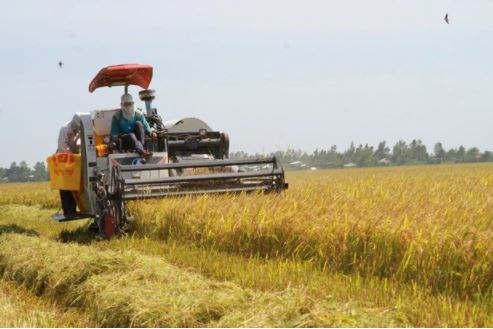 Vietnam, Canada hold huge cooperation potential in agriculture: Canadian insiders hinh anh 1
