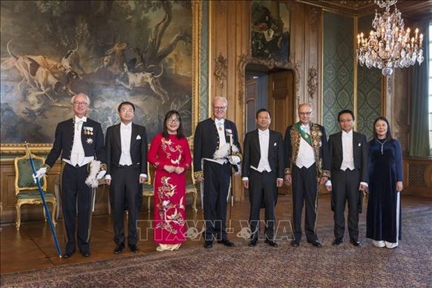 Plenty of room for Vietnam, Sweden to promote ties: Ambassador hinh anh 1