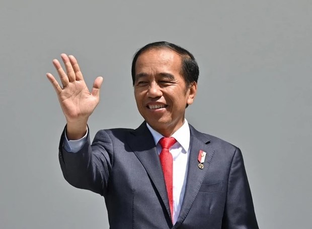 Indonesia President’s Vietnam visit to strengthen bilateral ties: ambassador hinh anh 2