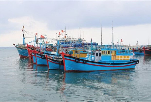 Binh Thuan province resolved to fight IUU fishing hinh anh 1