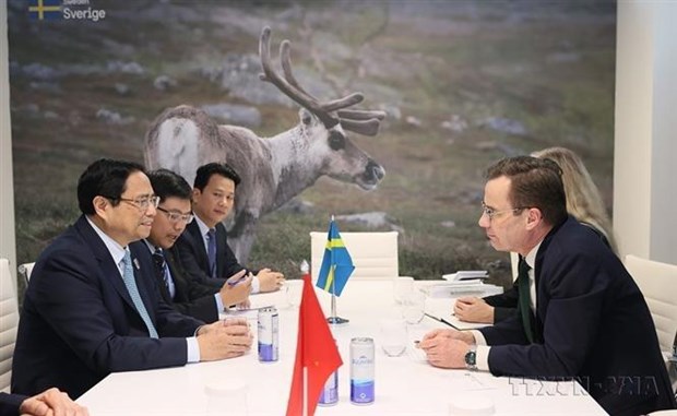 Vietnam - Sweden trade growing steadily: Official hinh anh 2