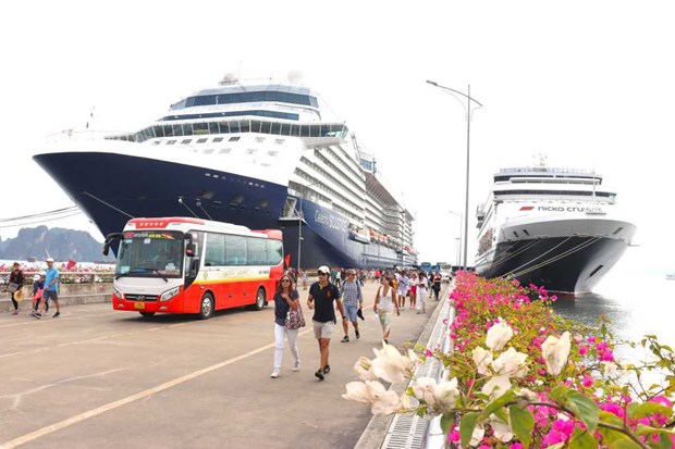 Int’l cruise ships to bring 80,000 visitors to Quang Ninh hinh anh 1