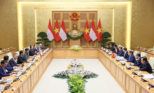 Vietnamese, Indonesian leaders hail development of multifaceted cooperation hinh anh 2