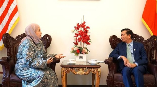 大使强调越南与马来西亚全面合作 hinh anh 1