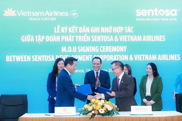 Vietnam Airlines, Singapore unveil tourism ipartnership nitiative hinh anh 1