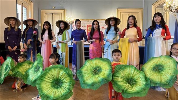 Vietnamese Tet culture promoted in France hinh anh 1