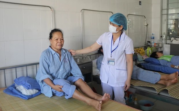 Ambassador suggests stronger Vietnam - France health cooperation hinh anh 1