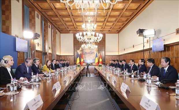 Vietnamese, Romanian PMs hold talks hinh anh 2