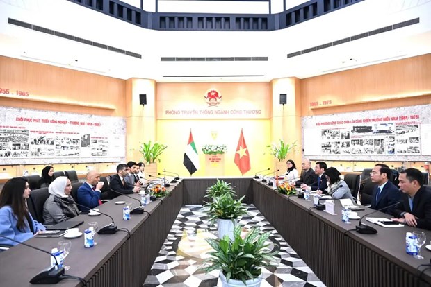 Vietnam, UAE speed up negotiation for comprehensive economic partnership agreement hinh anh 1