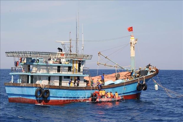 Phu Yen province scores achievements in fight against IUU fishing hinh anh 1