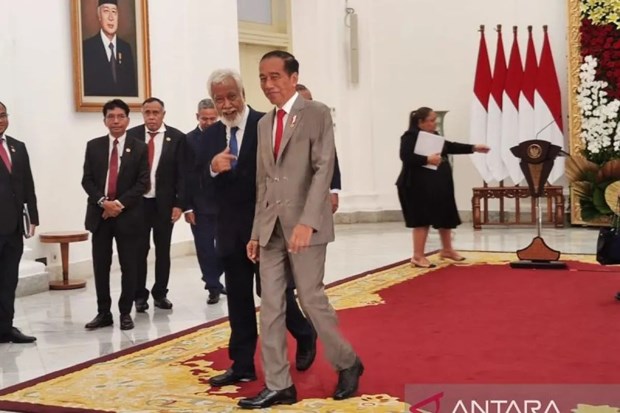 Indonesia, Timor-Leste seek solutions to border issues hinh anh 1
