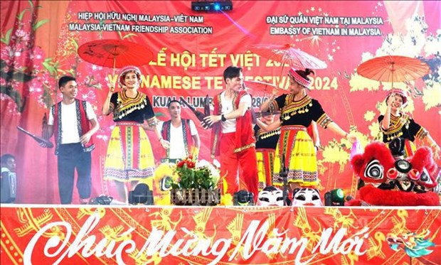 Overseas Vietnamese celebrate Tet festival hinh anh 2