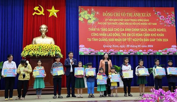Vice State President pays pre-Tet visit to Quang Nam province hinh anh 1
