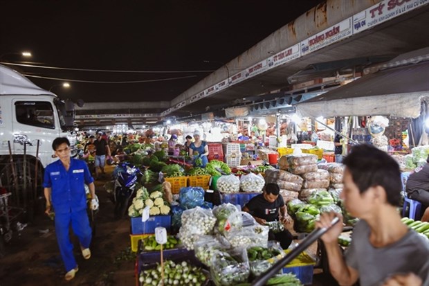 Digitisation imperative for HCM City’s wholesale markets: experts hinh anh 1