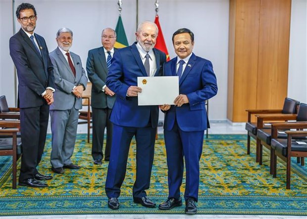 President Lula da Silva calls Vietnam important partner of Brazil hinh anh 2