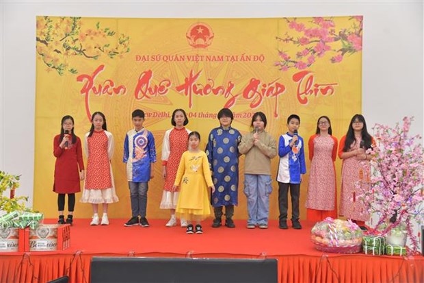 Overseas Vietnamese in India, Czech Republic indulge in Lunar New Year activities hinh anh 1