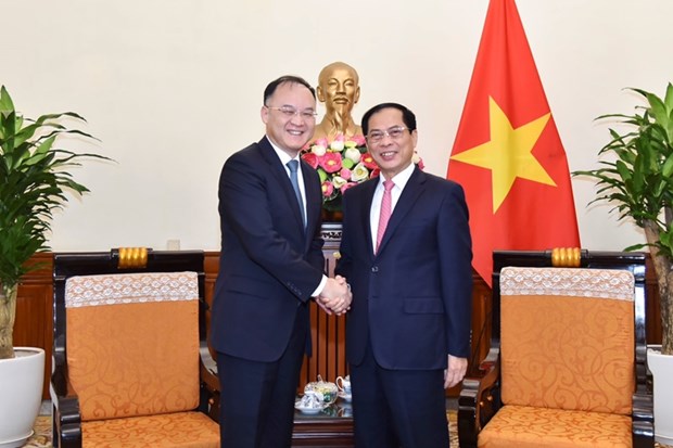 Foreign Minister receives Chinese Assistant Foreign Minister hinh anh 1