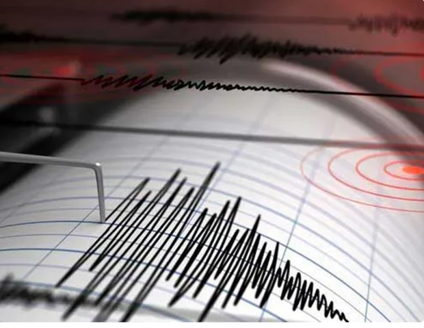 Strong earthquakes shake Philippines, Indonesia hinh anh 1