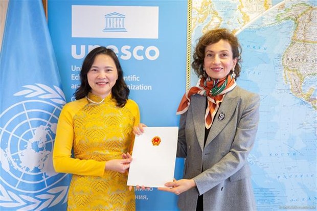 Vietnamese Ambassador presents credentials to UNESCO Director-General hinh anh 1