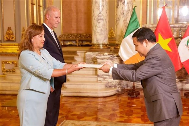Vietnam works to cement ties with Peru hinh anh 1