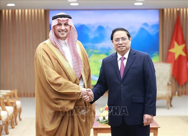 2023 - a highlight in Vietnam-Saudi Arabia relations: Ambassador hinh anh 1