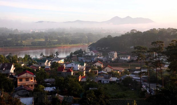Da Lat enjoys growth in tourist arrivals during Tet holiday hinh anh 1