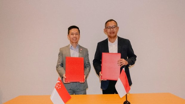 Singapore, Indonesia bolster cooperation in cross-border carbon capture storage hinh anh 1