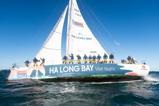 Quang Ninh’s beauty introduced to Clipper Round World Yacht Race’s sailing teams hinh anh 1