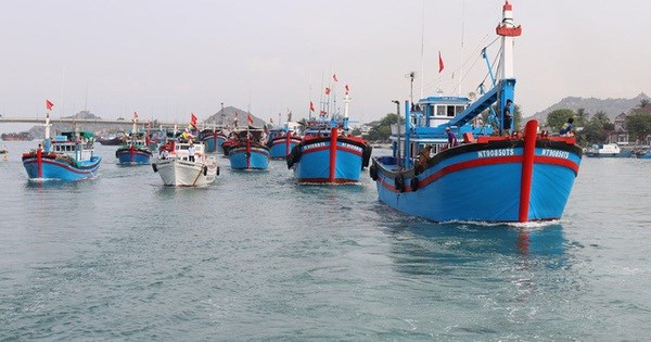 Quang Nam develops logistics services for offshore fishing, combat IUU fishing hinh anh 1