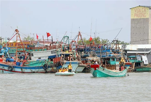Bac Lieu targets national shrimp hub status hinh anh 2