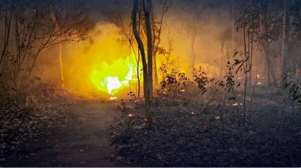 Wildfires rampant in northern Thailand hinh anh 1