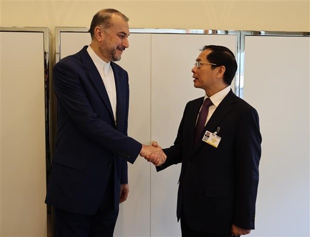 Foreign Minister meets leaders of UN, countries in Geneva hinh anh 2